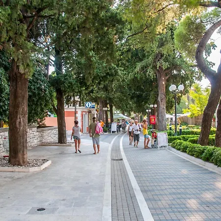 Avenue