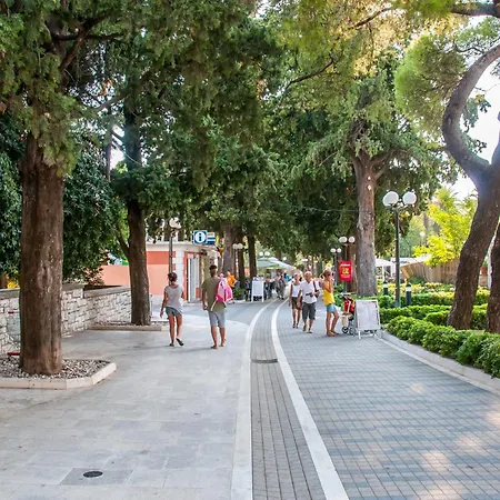 Avenue