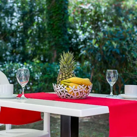 Avenue Apartamento