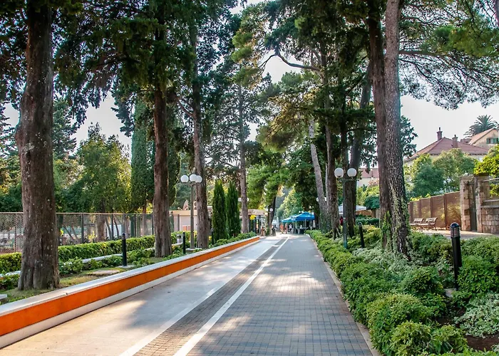 Avenue
