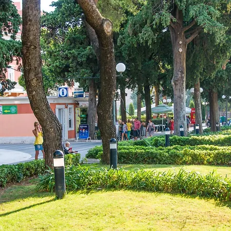 Avenue
